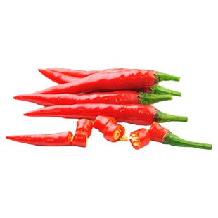 赛辣王朝天椒辣椒蔬菜种子孑籽春季夏四季小米超辣盆栽苗北南方