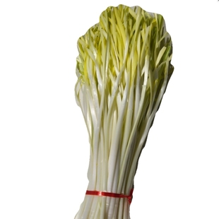 云南新鲜韭黄韭菜—产地直发(4斤装)打冷加冰冷链运输营养蔬菜