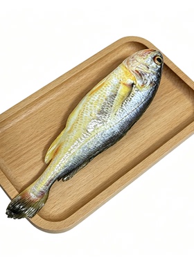 仿真鱼模型道具玩具装饰用品