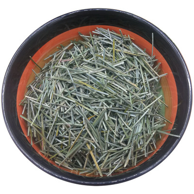 长白山松针叶五针松产地发货