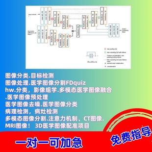医学图像处理分割类辅导影像组学多模态融合预处理去噪MRI病理CT