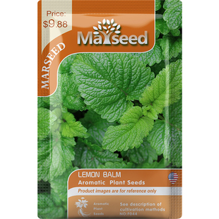 【掌柜推荐】进口可食用九层塔柠檬热那亚泰国甜叶罗勒种子籽孑苗