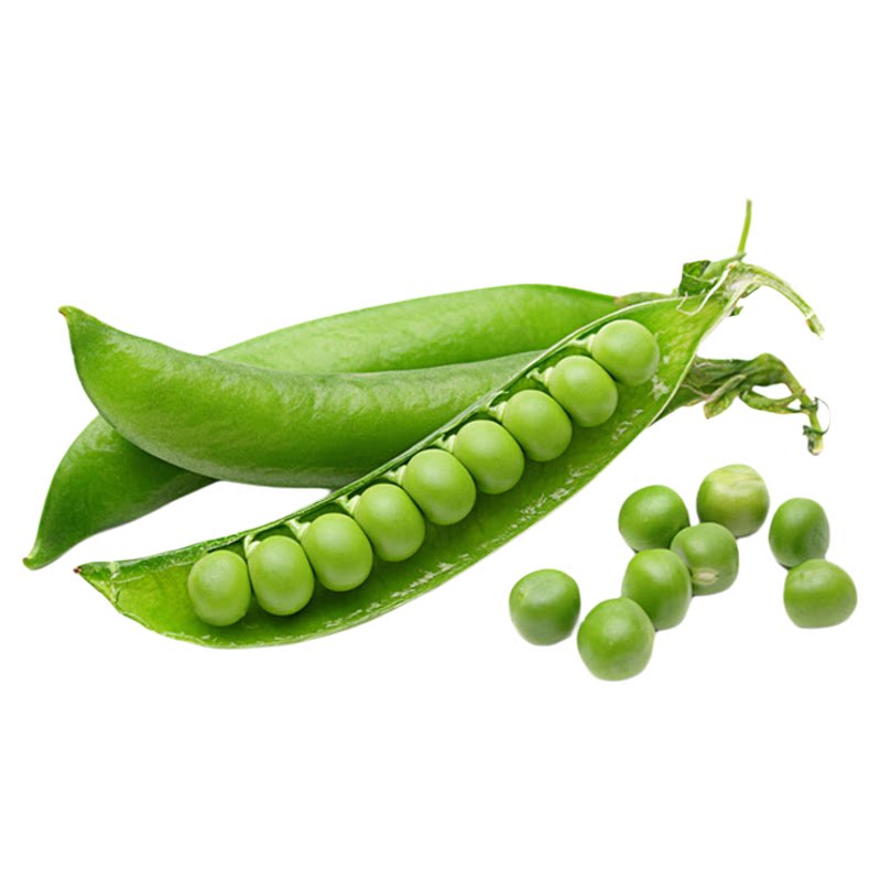 樱花甜豌豆种子甜脆青豆台湾四季农家翠春季冬季菜荚豆春季秋种籽