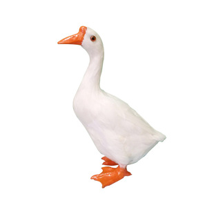 仿真鹅模型拍照小白鹅摆件真羽毛家禽装饰品道具家居摆设动物玩偶