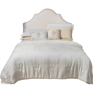 100%双宫桑蚕丝被芯高档纯手工被子母被儿童单人双人被四季空调被