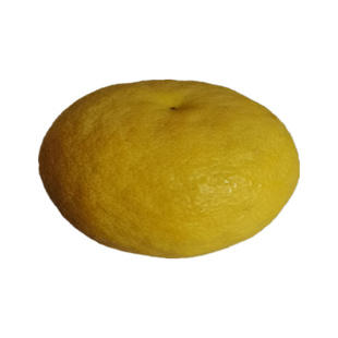 湖北湖南臭皮柑抛柑酸柑子干货自然晒干5俩一份