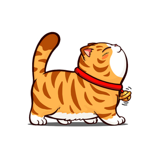 招吉猫玻璃门窗静电贴纸治愈猫咪快乐每一天装饰贴纸店铺商场墙贴