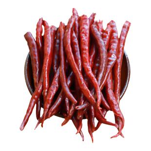 邱北椒正宗云南丘北干辣椒500g中辣特香板面适用长辣椒散装干货