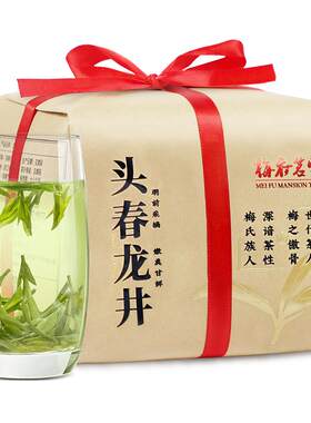 梅府茗家头春龙井茶250克大份量
