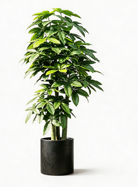 仿真绿植发财树盆栽高端轻奢