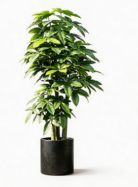 仿真绿植发财树盆栽高端轻奢