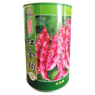 东北黄金勾红金钩豆角架豆王种子高产油豆角种籽沟扁豆春季蔬菜孑