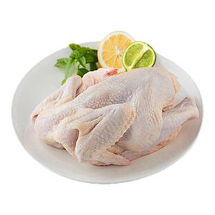 沂蒙荟馨园童子鸡无抗新鲜整只现杀未打鸣小公鸡正宗散养走地土鸡