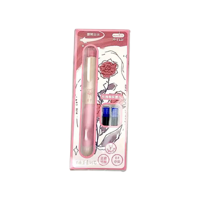 玫瑰钢笔套装小学生三年级练字笔