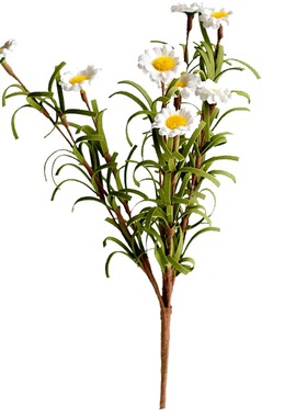 久伴真花干花雏菊矢车菊永生花束插花客厅餐桌装饰摆件侘寂高级感