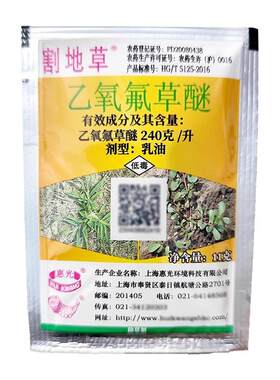 姜蒜苗圃除草剂割地草乙氧氟草醚