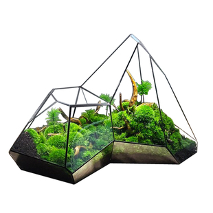 玻璃罩定制防尘罩微景观雨林生态缸容器定制钢化玻璃罩子量大优惠