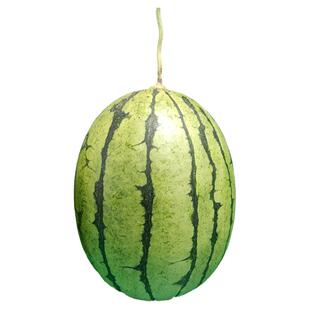 全美2K西瓜种籽苗甘美4k超甜高产南方小型种植春季蔬果种子秧嫁接