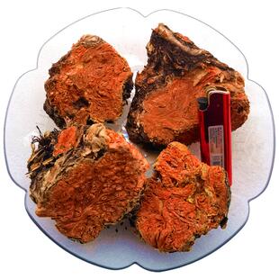大花红景天多年老根块片西藏高原野养生高反调理可打磨粉配发香枣