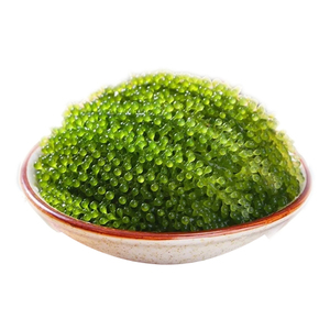 【新鲜健康】儿童海葡萄即食