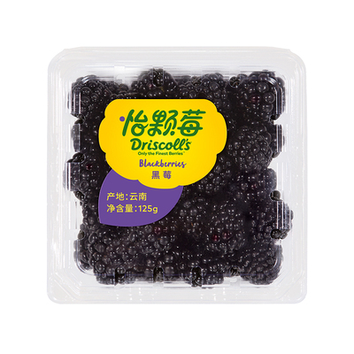 怡颗莓黑莓新鲜水果应季大果