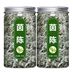 因陈中草药白蒿茵陈中药材野生棉绵阴沉草阴陈泡水茶的功效与作用