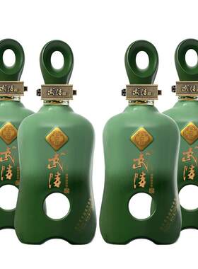 酱香型白酒高端送礼佳品湖南名酒