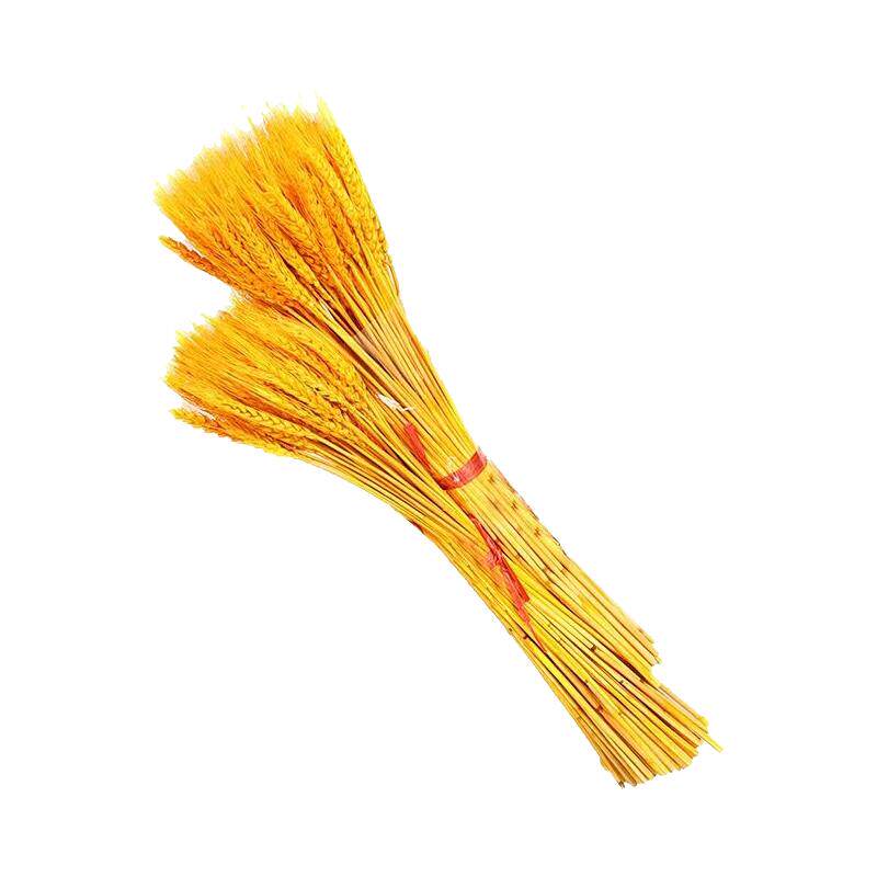 【花店专用】金色麦穗黄金大麦开业花篮天然小麦干花道具黄金麦穗