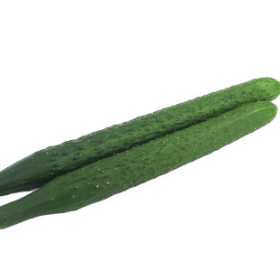 黄瓜种籽大全高产黄瓜种子玉女水果黄瓜种孑满地爬水果黄瓜苗四季