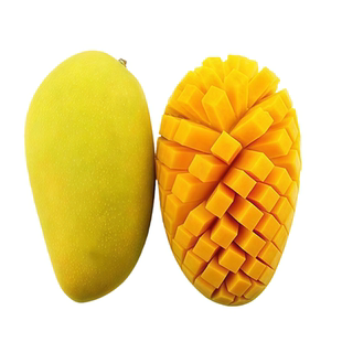 金煌芒果树苗正宗嫁接苗当年开花结果大金芒果苗南方阳台庭院盆栽