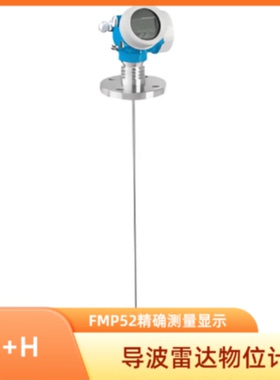 议价EH导波雷达物位计FMP52采用耐腐蚀的PFA无缝涂层探杆用于腐蚀