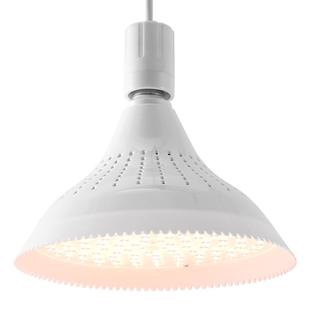 生鲜灯2025新款白光水果熟食鲜肉专用灯卤菜卤肉新国标led生鲜灯