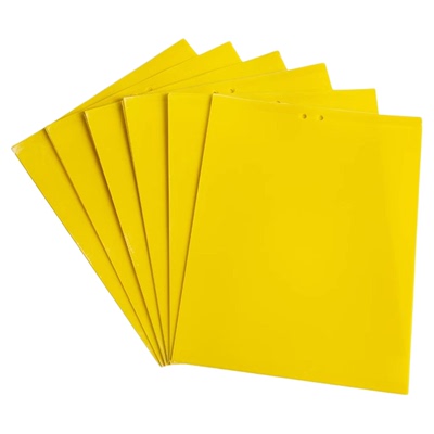 双面粘虫板贴纸强力灭杀小飞虫沾果蝇诱捕神器捉蚊子苍蝇大棚黄板