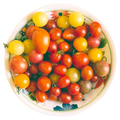 超甜樱桃小番茄种子春秋高产高糖