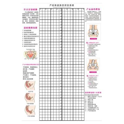 产后体态评估表盆底肌修复图孕妇康复形体矫正体姿图身体体测表