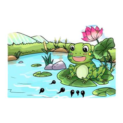 幼儿园春季环创水草海浪KT板