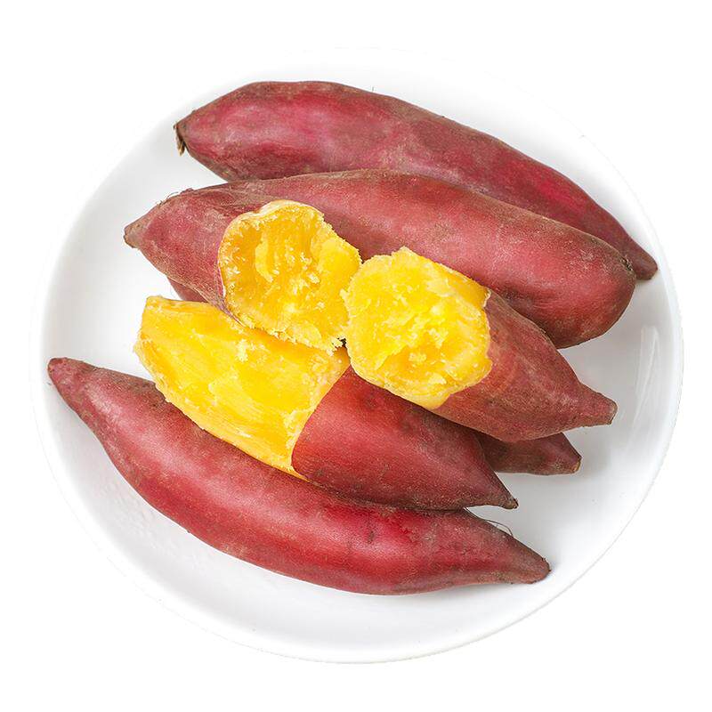 天目山小香薯【官方力荐】