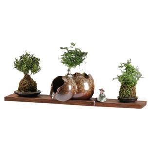 古法养鱼开缸套餐户外庭院鱼缸造景摆件全套过滤流水陶罐DIY配件