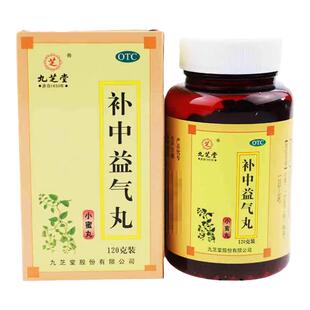 九芝堂补中益气丸小蜜丸480丸补中益气阳气举陷脾胃虚弱体倦乏力