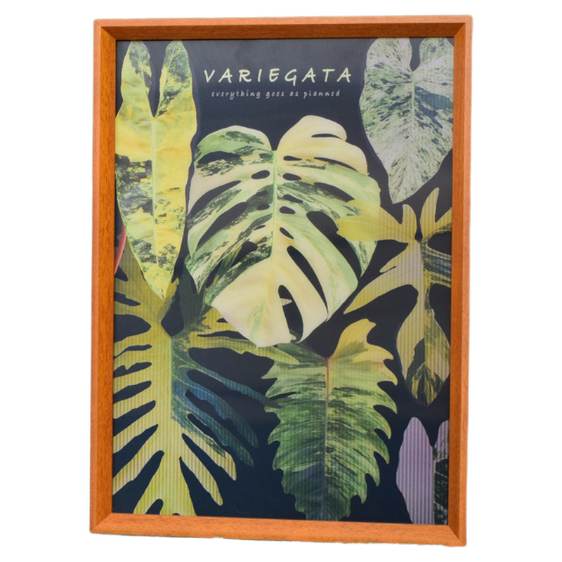 虹越×浇浇植物超市热植光栅挂画