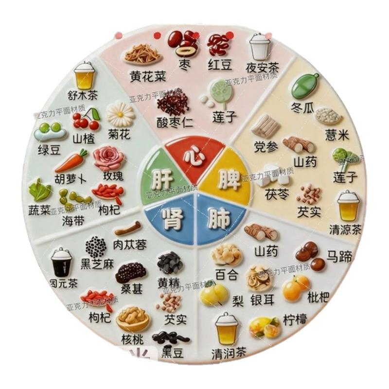 亚克力磁吸养生冰箱贴五脏六腑食疗图谱家庭生活健康科普装饰贴