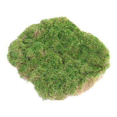 仿真苔藓植物墙贴假草皮园艺摆件