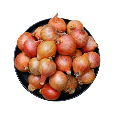 【热销】正宗东北小毛葱新鲜头茬