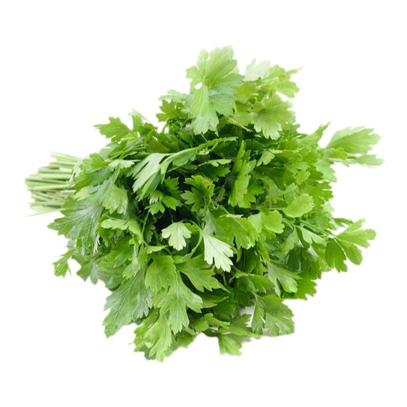 欧芹新鲜意大利番西香料蔬菜