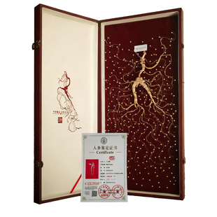 正宗20年以上野山参长白山人参礼盒装节日送礼滋补养生带鉴定证书