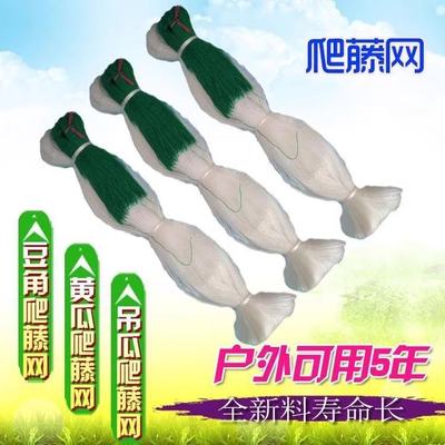 植物爬藤网山药豆角蔬菜吊瓜丝瓜黄瓜百香果网园艺种植攀爬网农用