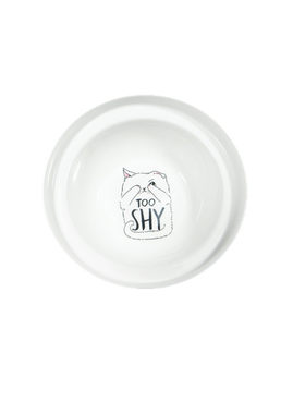 宠物用品猫碗陶瓷喝水