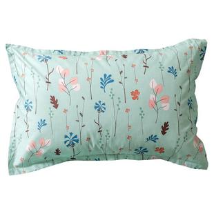 一对装100全棉枕套纯棉枕头套特价清仓网红款高端30x50枕芯套简约