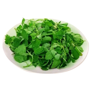 新鲜灰灰菜下单现采天然野菜时令碱性蔬菜美食藜菜野生灰条菜包邮