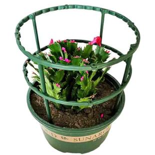 花卉组装支撑支架防止矫正器固定型下垂倒伏散苗耷拉绑丝绑带支